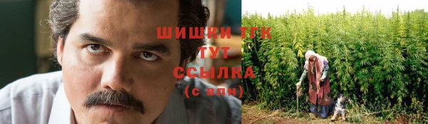 шишки Армянск