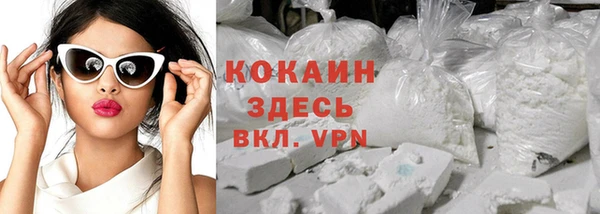 шишки Армянск