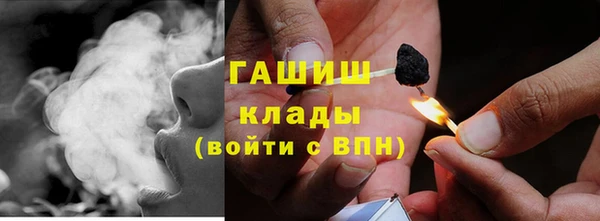 сатива Аркадак