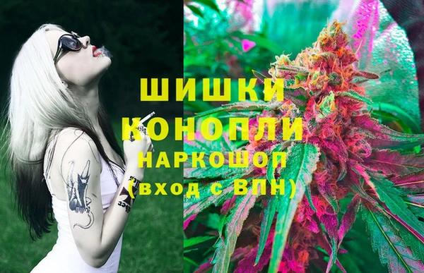 spice Арсеньев