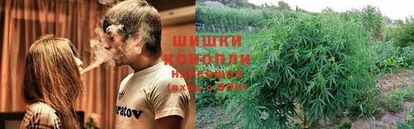 шишки Армянск