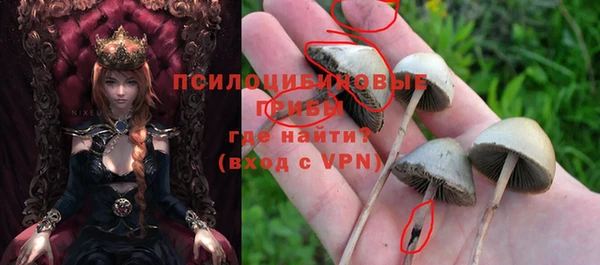 spice Пролетарск